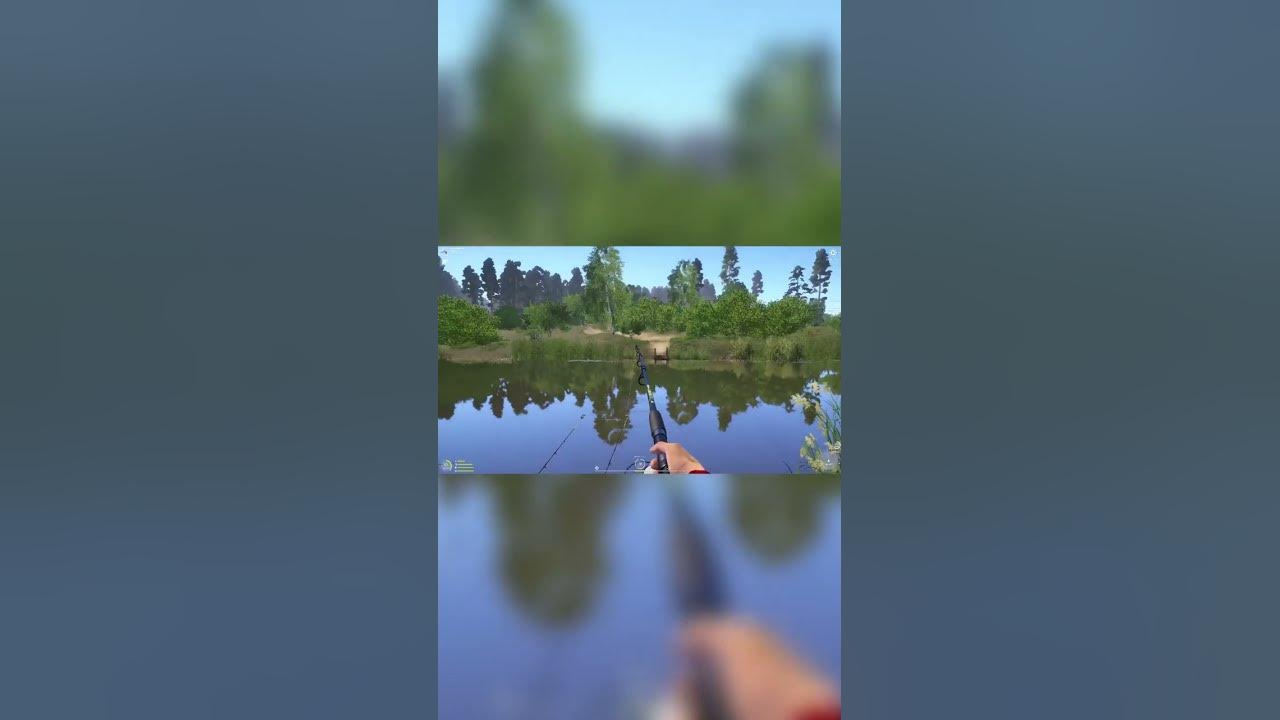 Любишь рыбалку? р.Вьюнок 🐠Пескарь обыкновенный трофей - YouTube