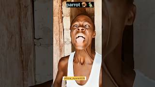 Bird a cutting comedy video #shorts #trap #funny #birds #birdtrap #comedy #nature