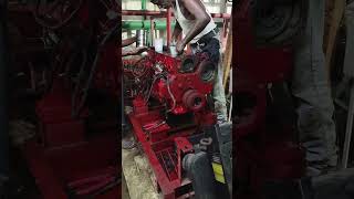 Diesel engine & pump service