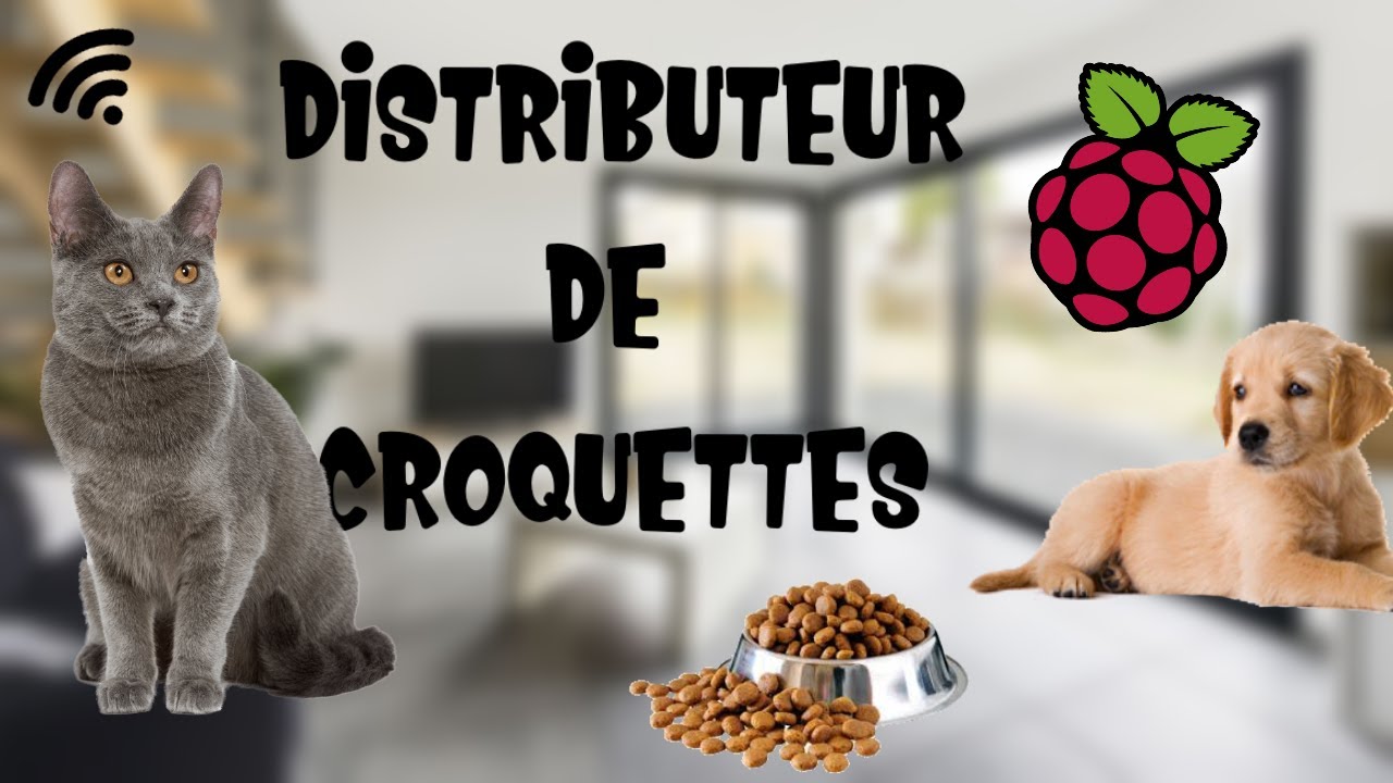 Fabriquer Un Distributeur De Croquettes Youtube