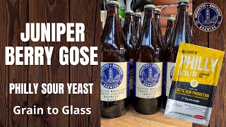 : Grainfather BrewDay - Juniper GOSE using Philly Sour yeast