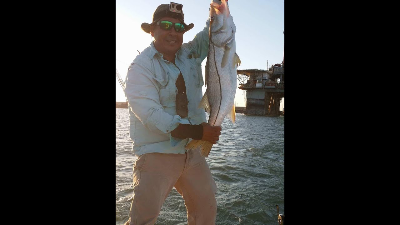 BIG AND FAT SNOOK AT THE PORT OF BROWNSVILLE TX YouTube