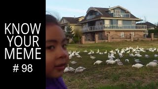 Look at all those chickens, Kid Vine, KnowYourMeme #98