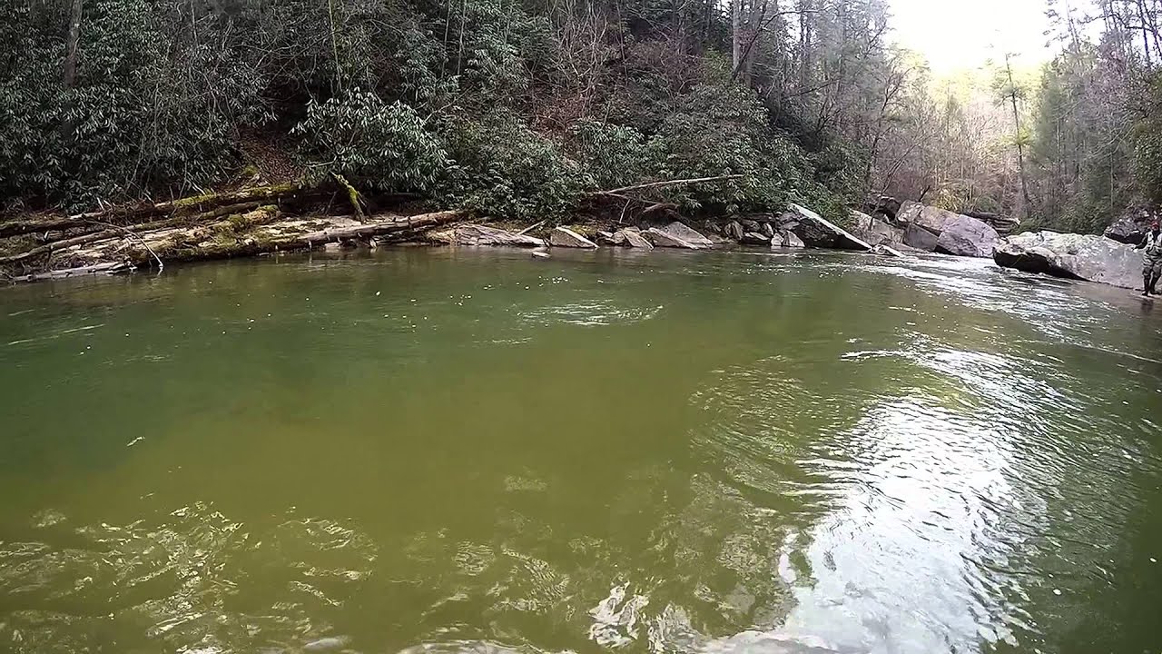 Chauga River Rainbow Trout YouTube
