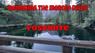 Swimming In The Merced River In Yosemite California