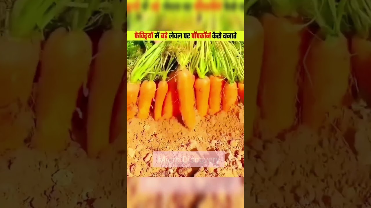 फैक्ट्रियों में बड़े लेवल पर पॉपकॉर्न कैसे बनाते 😨। Most Intresting Facts In Hindi
