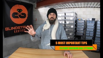 5 MOST IMPORTANT TIPS before you start breeding ball pythons!