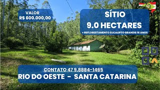 ♥️ SÍTIO COM REFLORESTAMENTO EM RIO DO OESTE/SC ♥️