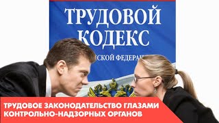 Вебинар: «Трудовое законодательство глазами контрольно-надзорных органов».