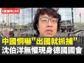 沈伯洋德國國會發言
