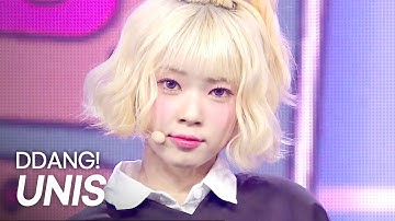 [최초 공개] UNIS(유니스) - 땡!(DDANG!) l Show Champion l EP.552 l 250423