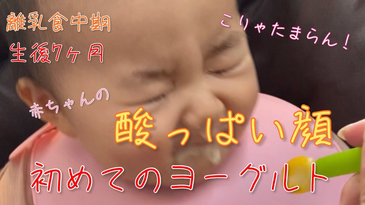 可愛い 赤ちゃんの初めてのヨーグルトで衝撃が走る瞬間 酸っぱい顔がたまらん 生後7ヶ月離乳食中期 Shorts Youtube