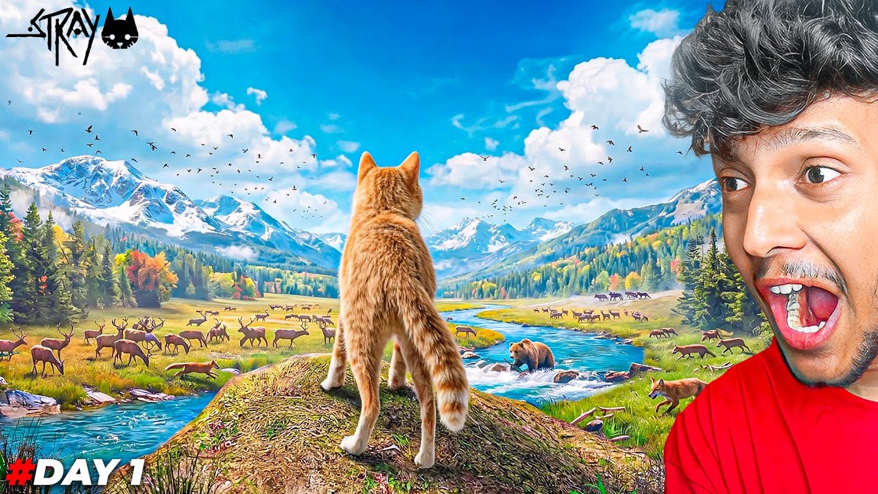 FINALLY THE CAT JOURNEY BEGINS! 😍  Stray Gameplay #1