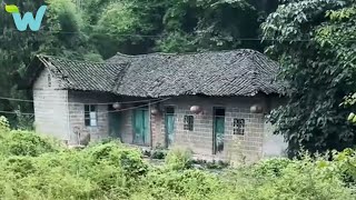 Leaving the city, the middle-aged man renovated his old house in the countryside