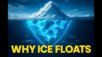 Waarom ijs drijft: het geheim dat de aarde in leven houdt