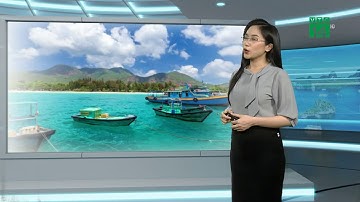 Thời tiết biển 07/11/2020: Vùng biển phía Bắc của biển Đông có gió mạnh cấp 6-7, biển động | VTC14