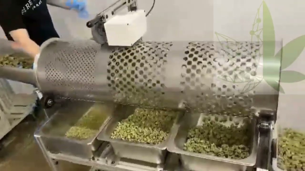 LIMPIEZA DE FLOR CBD