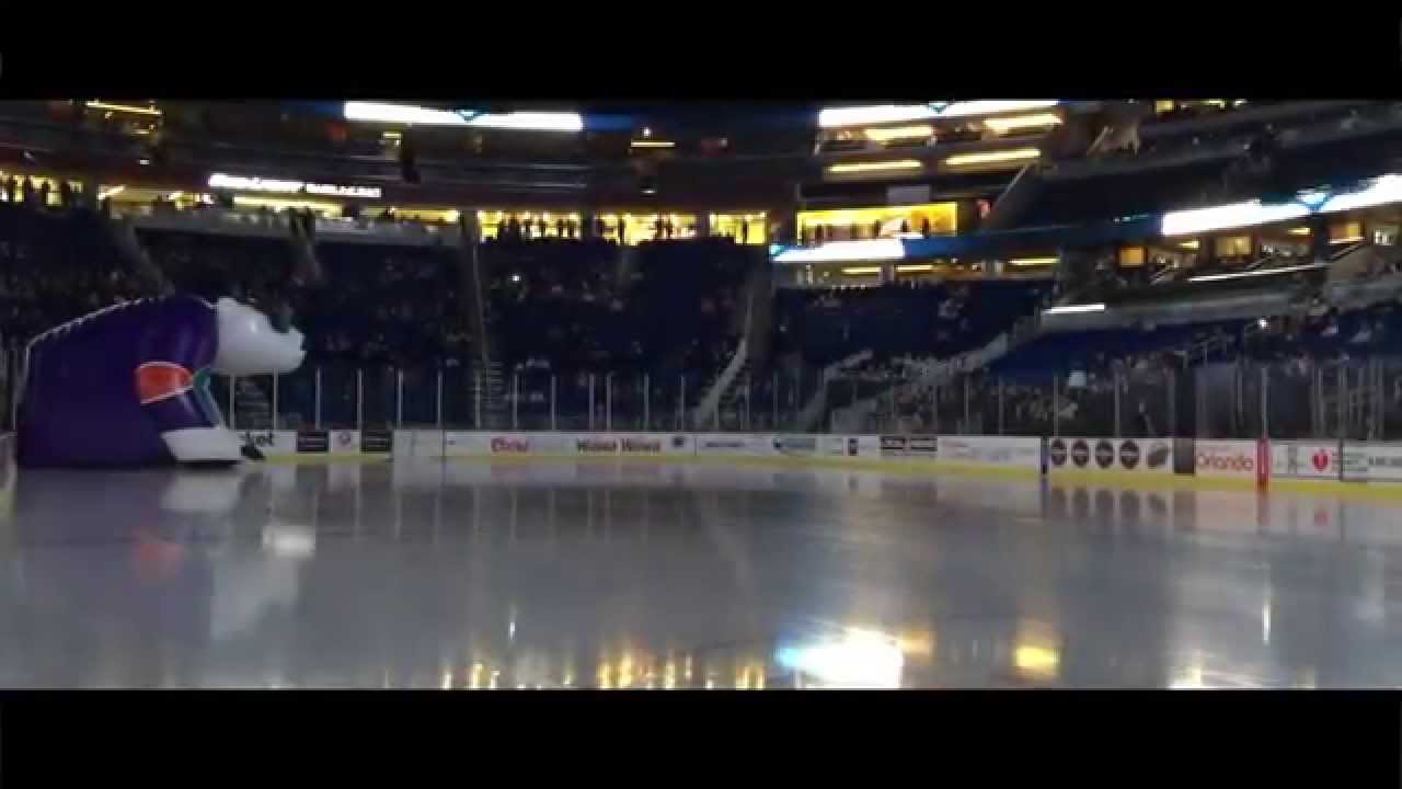 Solar Bear Experience YouTube