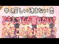 なぜあの人なの⁉️💕あの人への強い想いはどうしてなの⁉️どうしても惹かれる その理由は❓タロット&オラクル