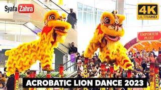  Acrobatic LION DANCE 