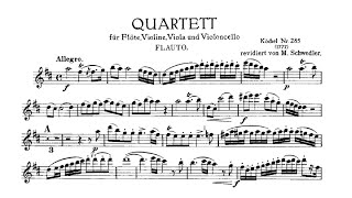 W. A. Mozart - Flute Quartet in D Major, K. 285: I. Allegro ♩= 120 (Fast) Piano Accompaniment