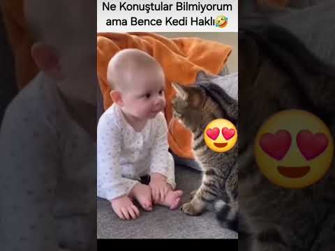 Yerim seni ya kurban olduğum nasıl da anlaşıyorlar öyle 😂😊
