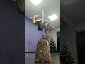 С новым годом 2022!