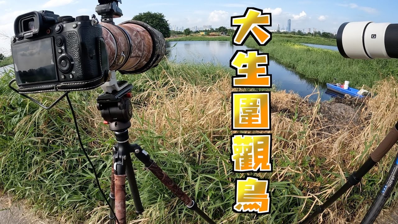 大生圍觀鳥團聯乘航拍隊伍 DJI Mini 4 Pro + DJI ND16