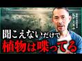 聞こえないだけで植物は喋っている / プランツミュージックの真実|小田真嘉×Keigo