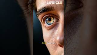 Your Eyes Know Something Is Wrong 🤯