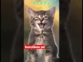 GATITOS CANTANTES