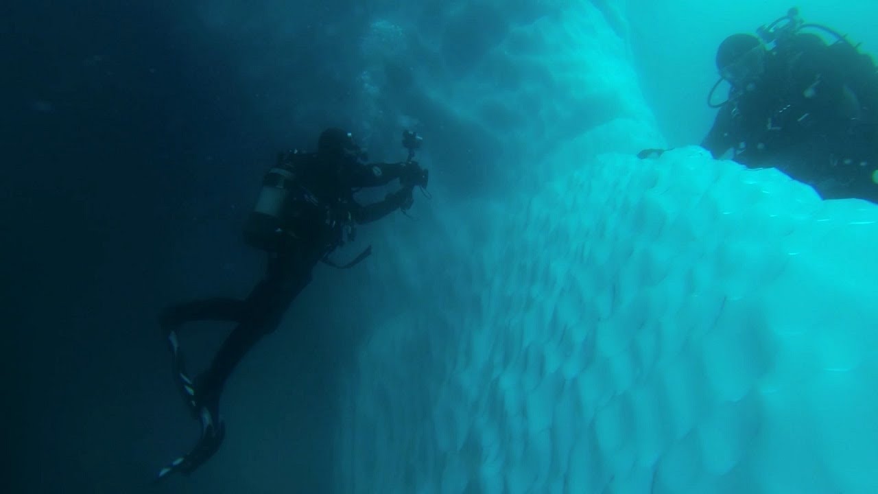 南極でのスキューバダイビング_南極旅行