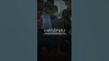 ﴿ثم إنكم أيها الضالون لأكلون من شجر من زقوم ﴾ | القارئ ناصر القطامي