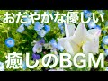 【癒しBGM】春を感じて心が落ち着くリラックス音楽、自律神経を整え不安やストレス解消のためのヒーリングミュージック/睡眠用・作業用・勉強用BGM