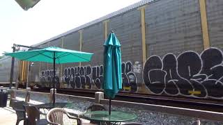 #4503 CSX Q217-15 Empty Autorack train & Amtrak PO30