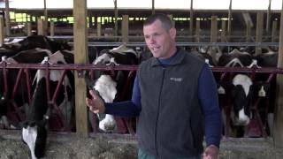 West Virginia Dairy Farmer Perspective: Cow Care