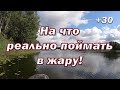 На что РЕАЛЬНО ПОЙМАТЬ в ЖАРУ! Лучшие 3 ПРИМАНКИ на Щуку В ЖАРУ ЛЕТОМ!! Мой ТОП приманок!