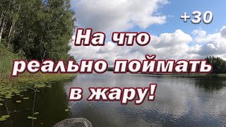 На что РЕАЛЬНО ПОЙМАТЬ в ЖАРУ! Лучшие 3 ПРИМАНКИ на Щуку В ЖАРУ ЛЕТОМ!! Мой ТОП приманок!