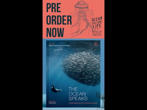 Book Launch pre-release