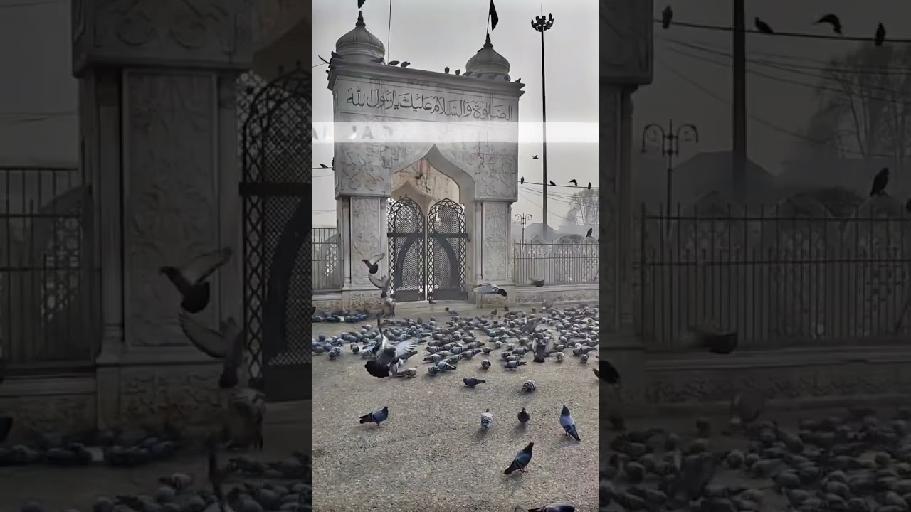 Hazratbal Dargah Srinagar Jammu and Kashmir 