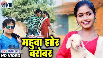 Dilip ray | Karan Chauhan | Kiran Chauhan | Cg Song | Mahua Jhor Barobar | Chhattisgarhi Gana | AVM