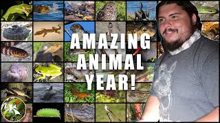 His Remarkable Feat Finding Reptiles & Amphibians...I'm baffled. by Koaw Nature 746 views 3 years ago 18 minutes