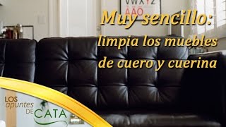 Soluciones prácticas para limpiar los muebles de cuero y cuerina de nuestra casa