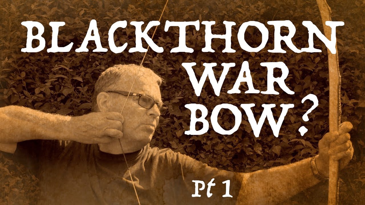 Will Blackthorn make a 100lb Warbow? Primitive Technology from the Hedgerow.