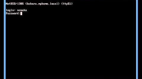 uwscons on NetBSD/i386 with VGA_RASTERCONSOLE