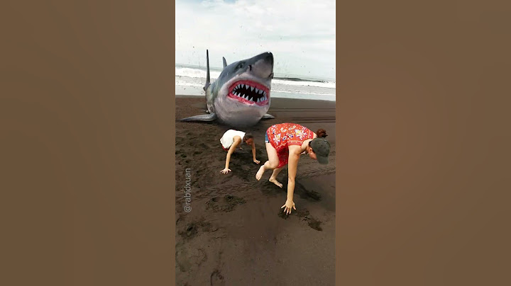 Pescando Tiburones en Guatemala con VFX