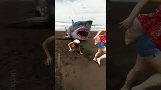 Pescando Tiburones en Guatemala con VFX