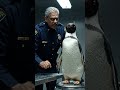 Penguin #shorts #viralaishorts