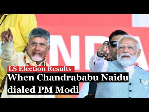As BJP falls below majority, Chandrababu Naidu gets calls from PM Modi, Amit Shah