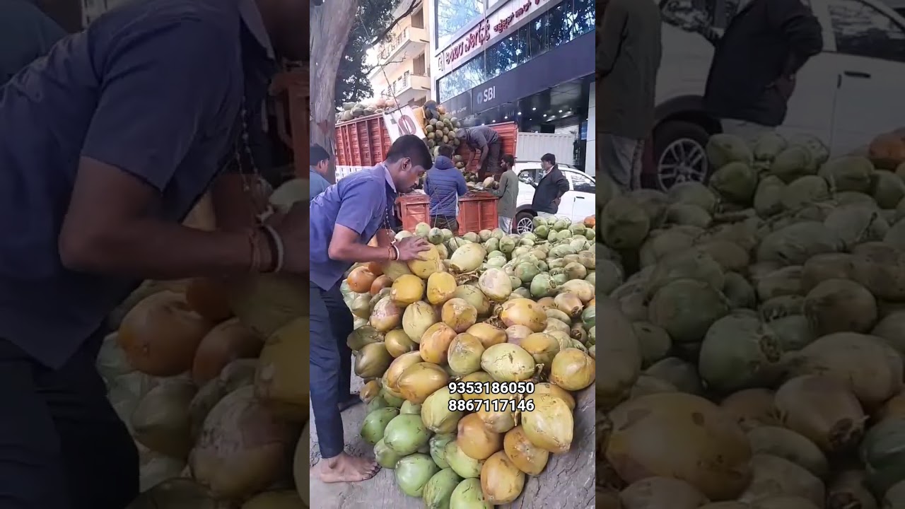 TENDER COCONUT I NARIYAL PAANI 